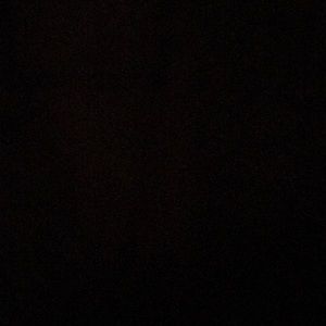 Meet your Posher, Sylvie